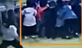 刘真父母爆料视频大全集,揭开背后真相与感人瞬间