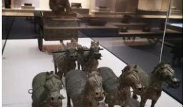 重庆博物馆爆料案件最新,案件背后真相逐步浮出水面